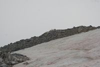 
DSC00089